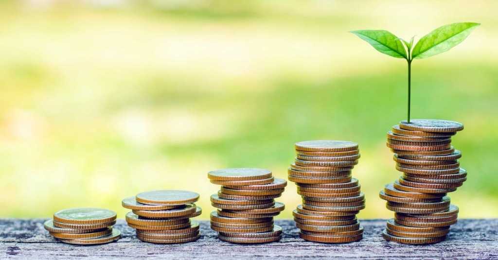 Coins stacked up with a plant growing