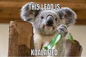 lead generation meme