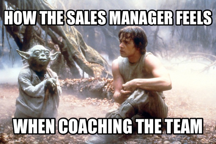 sales coaches